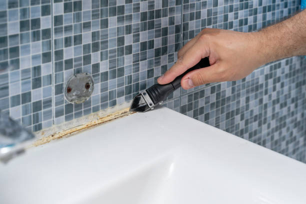 Best Mold Remediation Services  in Adrian, MN